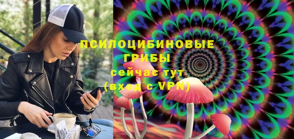 МДПВ Аркадак