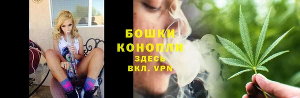 дмт Арсеньев