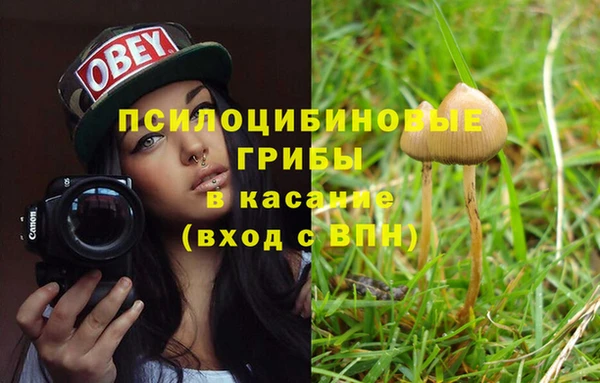 ALPHA PVP Алзамай