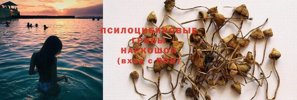 дмт Арсеньев