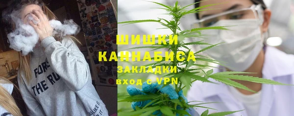 дмт Арсеньев