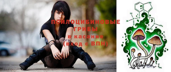 МДПВ Аркадак