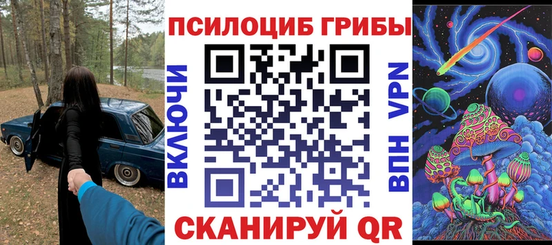 ОМГ ОМГ онион  как найти   Кемь  Псилоцибиновые грибы мухоморы 
